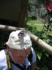 011 Butterfly Sanctuary